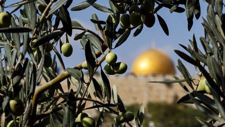 Monte degli ulivi a Gerusalemme