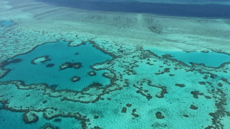 Une grande barrière de corail en Australie, classée parmi les 241 sites naturels protégés par l'Unesco.