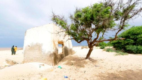 Österreich/Senegal: Ernährungskrise wegen Klimawandel