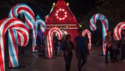 mexico-entertainment-lights-christmas-festiva-1512184275557.jpg