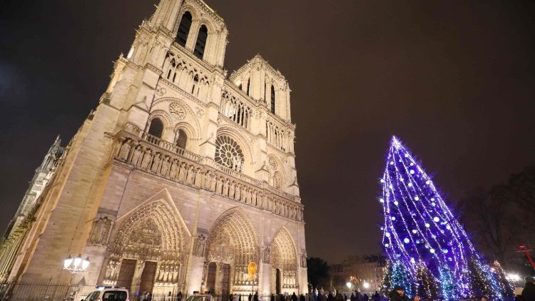 Le sapin de Noël sur le parvis de la Cathédrale Notre-Dame le 2 décembre 2017.
