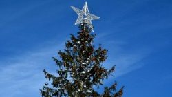 italy-christmas-tree-rome-1513682030765.jpg