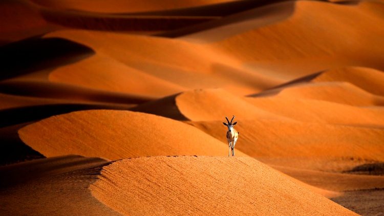 Desertificazione nel Sahel