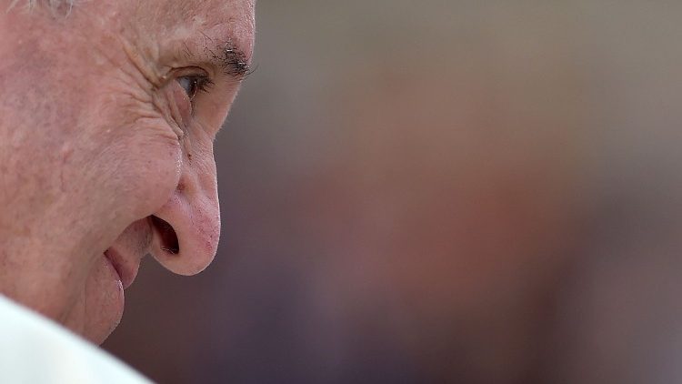 Padre Erico Hammes destaca a grande força moral da voz do Papa Francisco