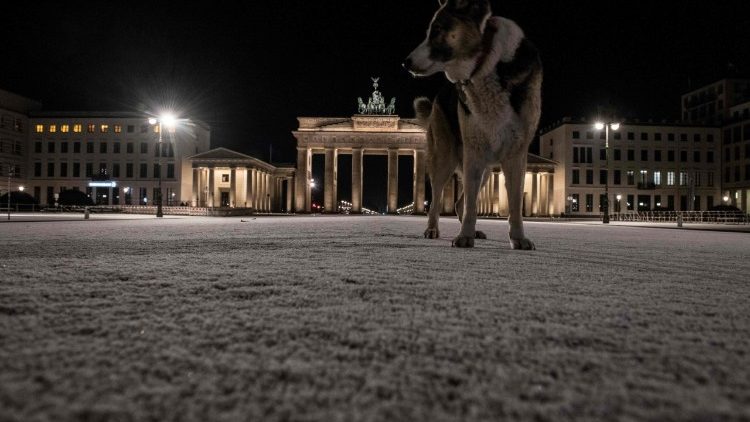 Hund im Schnee vor dem Brandenburger Tor: Archivbild vom Februar