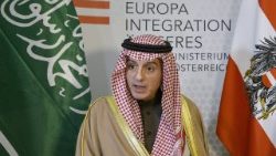 austria-saudi-diplomacy-1519065181019.jpg
