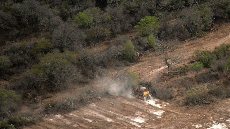 A bulldozer clearing a forest