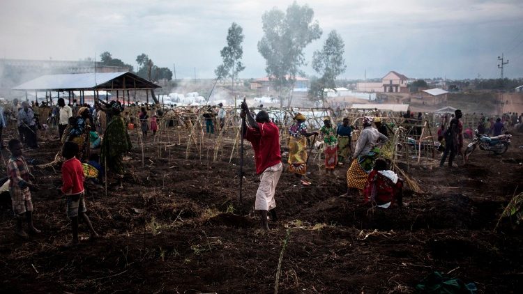 Des déplacés congolais construisent un camp à Bunia.