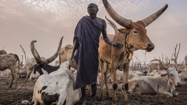 topshot-ssudan-cattle-droving-1520610788194.jpg
