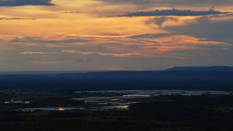 La zone humide du Pantanal, dans l'État du Mato Grosso, au Brésil 