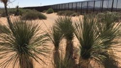topshot-us-mexico-border-fence-immigration-wa-1523430490653.jpg