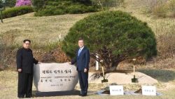 topshot-skorea-nkorea-diplomacy-summit-1524828484093.jpg
