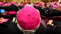 vatican-bishops-conference-1526913184458.jpg
