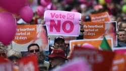 files-ireland-abortion-referendum-1527037413435.jpg