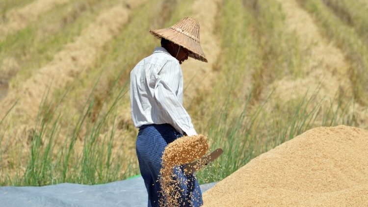 Em janeiro passado, o bloco europeu impôs tarifas por três anos sobre o arroz do Camboja e de Mianmar