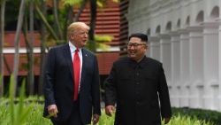 topshot-singapore-us-nkorea-diplomacy-summit-1528789652760.jpg