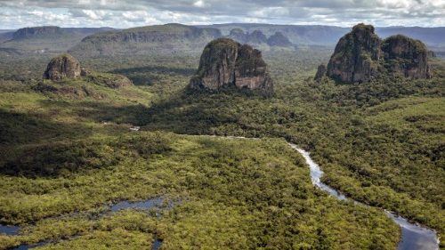 Hacia el Sínodo Especial para la Amazonía: dimensión regional y universal