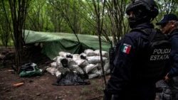 mexico-drugs-operation-1530920846580.jpg