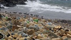 lebanon-environment-sea-pollution-1532021669758.jpg