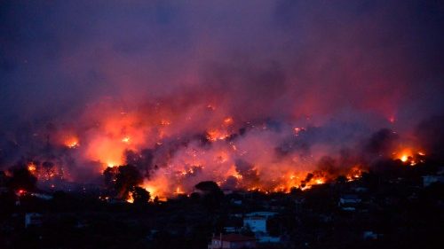  Grekland – Patriarken Bartholomeos: Bränderna är en stor mänsklig och ekologisk katastrof