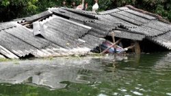 vietnam-floodings-1533197962534.jpg