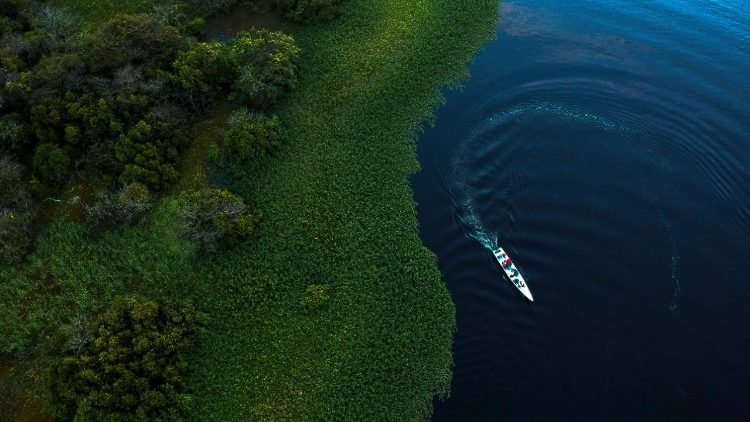 Der Amazonas in Brasilien 