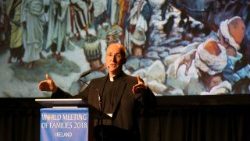 ireland-vatican-religion-pope-homosexuality-1535026900472.jpg