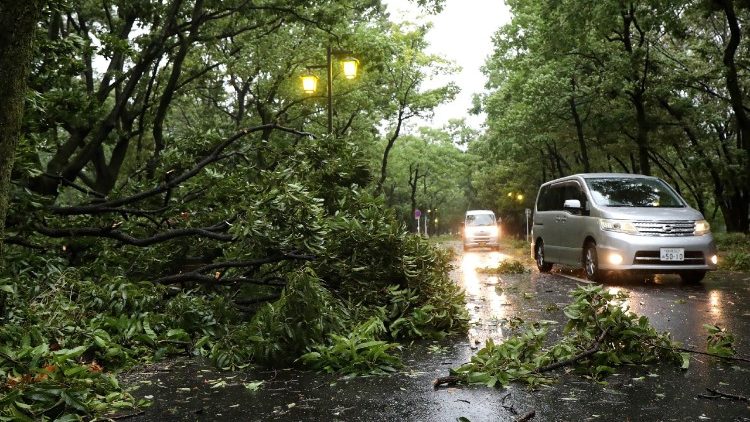 जापान, तूफान के कारण सड़क अवरूद्ध