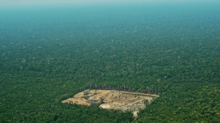 Veduta aerea di un'area deforestata dell'Amazzonia, in Brasile