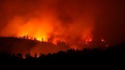 california-s-destructive-camp-fire-kills-23---1541974706799.jpg