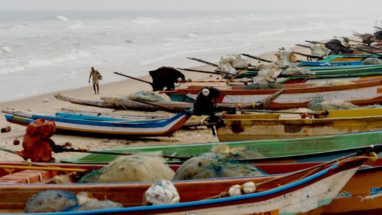 Bateaux de pêche en Inde, novembre 2018 