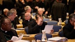 us-conference-of-catholic-bishops-takes-place-1542035013621.jpg