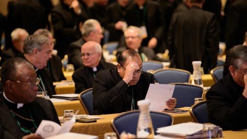 USA: Bischöfe führen Missbrauch-Meldesystem ein