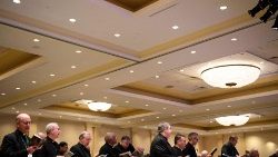 us-conference-of-catholic-bishops-takes-place-1542036507977.jpg