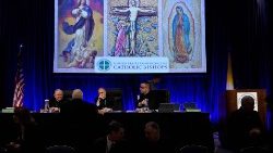 us-conference-of-catholic-bishops-takes-place-1542036825052.jpg