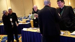 us-conference-of-catholic-bishops-takes-place-1542039212654.jpg