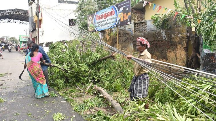 The aftermath of Cyclone Gaja in Tamil Nadu state, India.