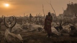 ssudan-cattle-droving-afp-pictures-of-the-yea-1543399448160.jpg