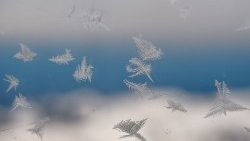 germany-weather-frost-flowers-1545385169735.jpg