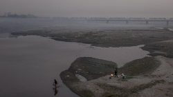 india-enviroment-pollution-1546445030136.jpg