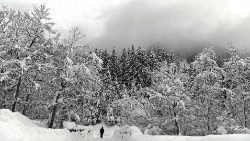 austria-weather-avalance-snow-1547035748509.jpg