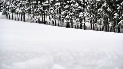 autria-weather-snow-feature-1547553542538.jpg