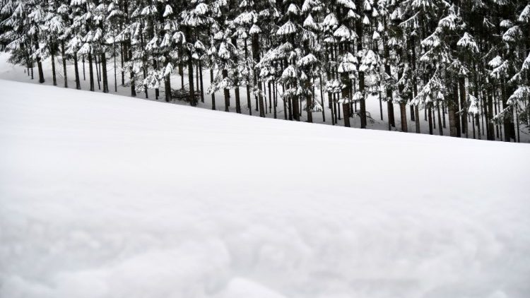 Winterlandschaft in Österreich