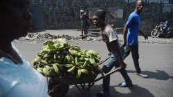 topshot-haiti-politics-economy-1550475832092.jpg