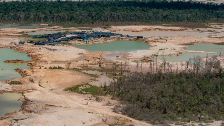 遭受破坏的亚马逊雨林