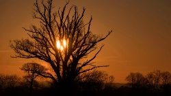 france-nature-landscape-feature-daily-life-1551168901036.jpg