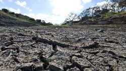 honduras-climate-drought-1552704532624.jpg