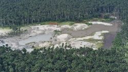 files-peru-environment-deforestation-indigeno-1553263428968.jpg