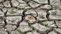 topshot-honduras-earth-day-drought-1556010535282.jpg