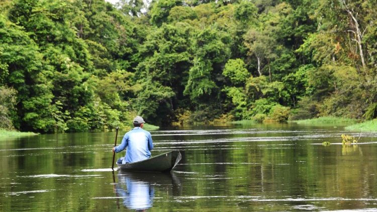 Die Amazonas-Region: für die Gegenwart und Zukunft unseres Planeten von großer Bedeutung
